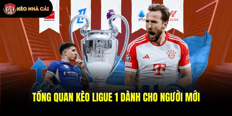 Tổng quan kèo Ligue 1 dành cho người mới