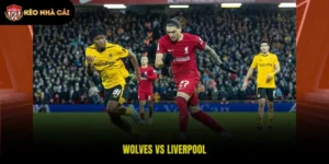 Wolves vs Liverpool Đá Vào Lúc 21h00 Ngày 22/02