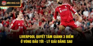 Liverpool Quyết Tâm Giành 3 Điểm Ở Vòng Đấu Tới - Lý Giải Đằng Sau