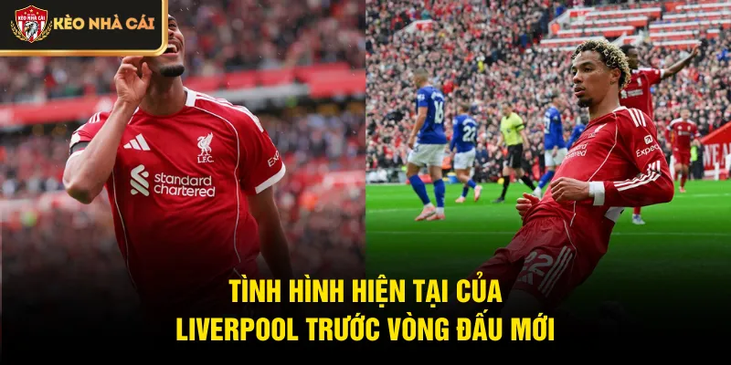 Tình hình hiện tại của Liverpool trước vòng đấu mới