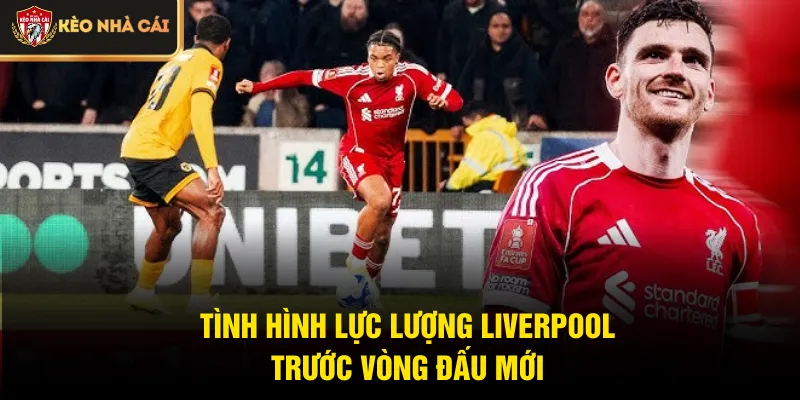Tình hình lực lượng Liverpool trước vòng đấu mới