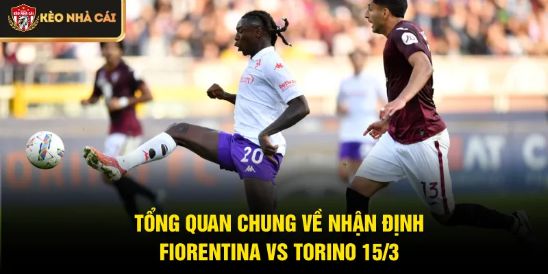 Tổng quan chung về nhận định Fiorentina vs Torino 15/3